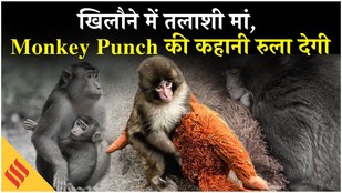 Viral Emotional Story of Monkey Punch| कैसे मिली Ora Mama| IKEA Plush Toy| Japan