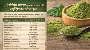 Moringa nutritional profile in Hindi ,Moringa powder benefits,Sahjan nutrition facts