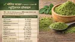 पोषक तत्वों का खज़ाना है मोरिंगा, एक चम्मच पाउडर में क्या-क्या होता है? इसकी Nutritional Profile जानिए