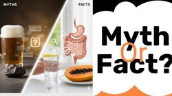 Health Myths: क्या बीयर पीना वाकई पथरी का देसी इलाज है? पपीता और कब्ज से जुड़े इन दावों का जानें वैज्ञानिक सच