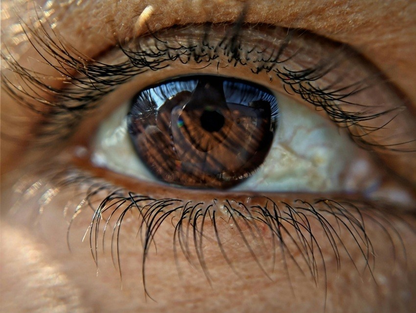 nose hair and health