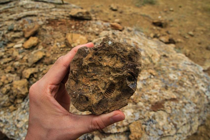 lithium and rare earth minerals India