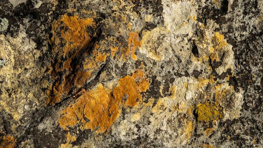 rare earth mineral locations India