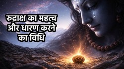 Rudraksha: आत्मविश्वास बढ़ाने और बाधाओं से मुक्ति के लिए खास माने जाते हैं ये रुद्राक्ष, जानें 1 से 14 मुखी रुद्राक्ष की धार्मिक मान्यता और धारण करने की विधि