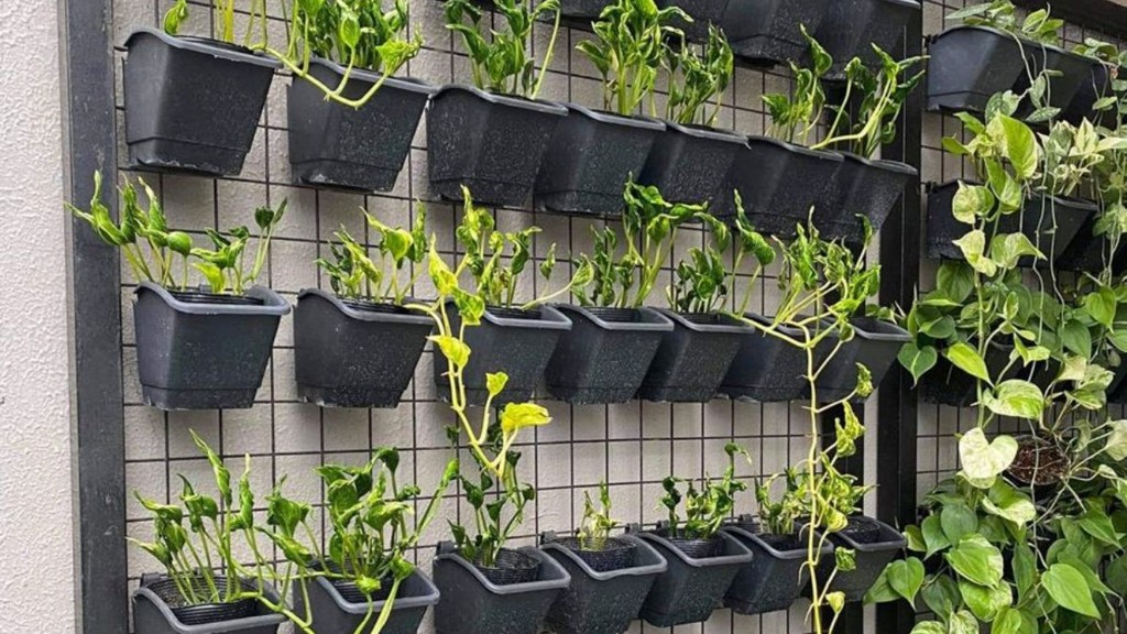 vertical garden, vertical garden, Vertical garden drawing, Vertical garden wall