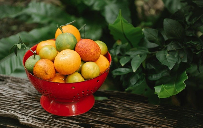 A Bowl of citrus Fruits