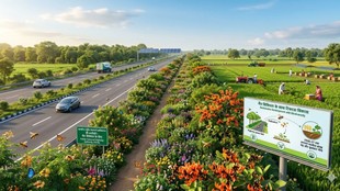 Bee Corridor in Highways | Latest news | jansatta opinion | hindi news | national highways