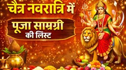 Chaitra Navratri Puja Samagri List: इन चीजों के बिना अधूरी है देवी दुर्गा की पूजा, जानिए मां की पूजा के लिए किन सामग्रियों की जरूरत पड़ेगी