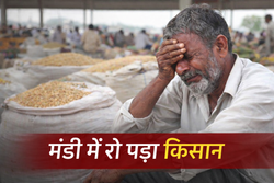मध्य प्रदेश: ‘कल बेटी की शादी है’, फसल नहीं बिकी तो मंडी में रो पड़ा किसान