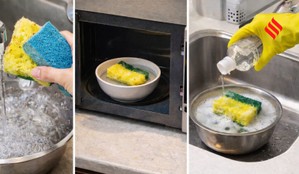 Clean kitchen sponge, Disinfect dish sponge, Kitchen hygiene tips