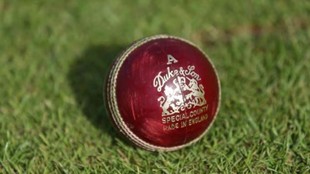 Dukes cricket balls supply, Dukes cricket balls,Test cricket balls supply
