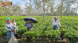 असम: ‘किसी सरकार ने इतना नहीं किया’, चाय बागान के श्रमिकों के बीच कैसा है माहौल