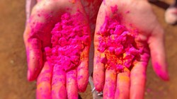 गुलाब के फूल से बनाएं नेचुरल गुलाल, इस तरह करें आसानी से तैयार