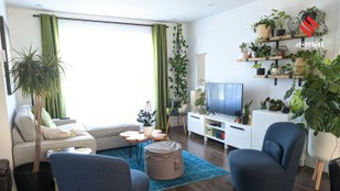How to Reduce AC Bill Naturally with These 7 Plants