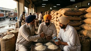 Israel Iran war Basmati rice exports to be disrupted Haryana Punjab traders worried