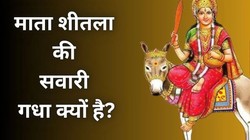 Mata Sheetla Vahan: आखिर क्यों गधा बना माता शीतला का वाहन, जानें इसके पीछे की रोचक कथा