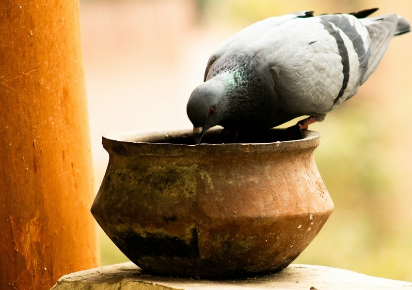 Matka water benefits