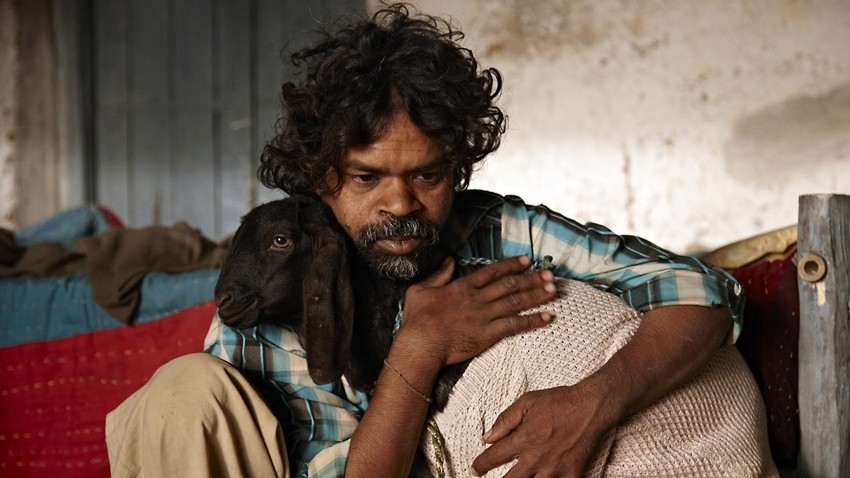Peepli Live (2010)