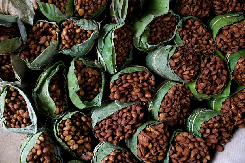 Plant-based polymers research