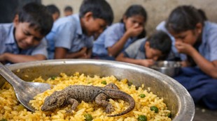 Primary School, Sarkari School, Mid Day Meal