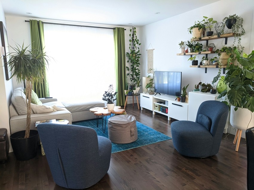 Reduce Heat at Home with These Easy Indoor Plant Tips