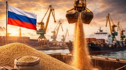 ईरान युद्ध के बीच रूस के लिए एक और गुड न्यूज, अगस्त के बाद गेहूं के निर्यात की कीमत सबसे ऊंचे स्तर पर