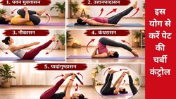 Yoga for Belly Fat: पेट की चर्बी के लिए प्रभावी हैं ये 5 योगासन, लेकिन सावधानी भी है जरूरी, एक्सपर्ट से समझें