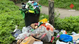 Surprising Money in Your Household Garbage