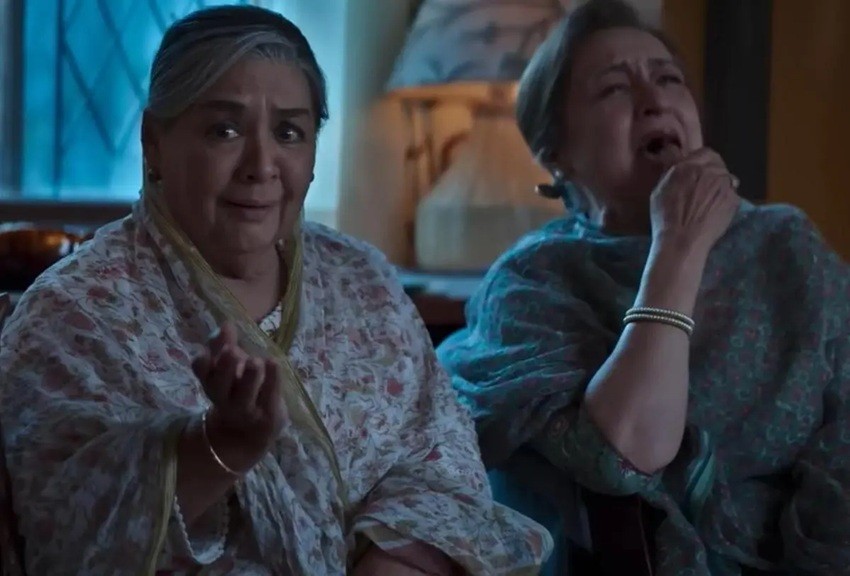 The Great Shamsuddin Family - Farida Jalal