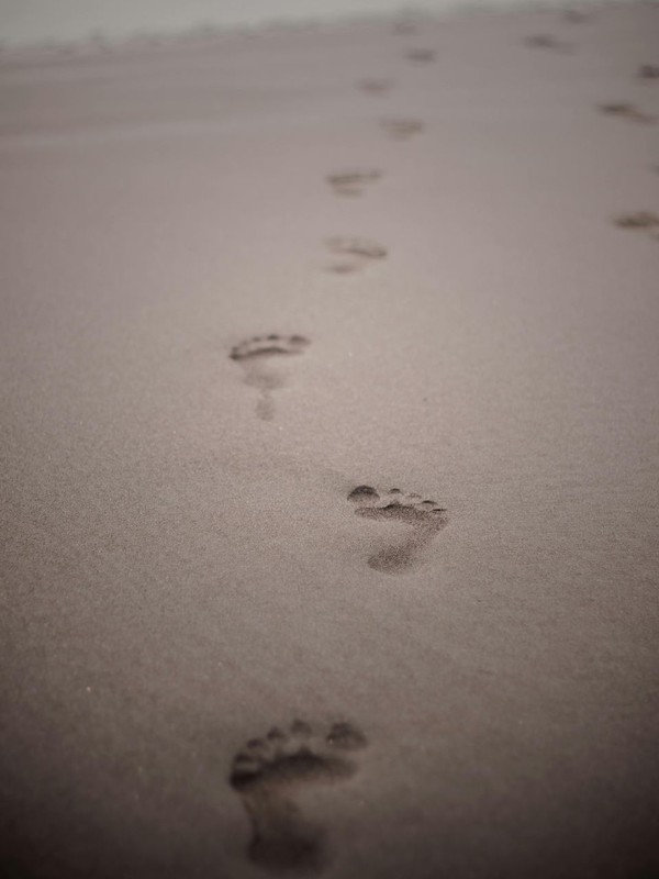 The Simple Habit That Can Improve Your Overall Health