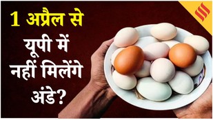 UP eggs to carry expiry date date of laying from April 1 after fresh government order on food safety-Eggs Update