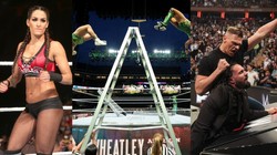 WWE WrestleMania: ट्रिपल एच ने 4 बड़े मुकाबलों का किया ऐलान, जॉन सीना की एक्स समेत 17 रेसलर मचाएंगे धूम; देखें सभी मैचों की लिस्ट