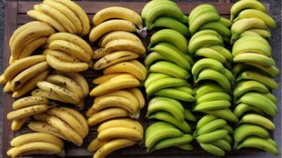 Banana Benefits, Eating Banana Every Morning, Gut Health, Potassium Rich Foods, Blood Pressure Control, Fiber for Digestion,