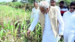 अफीम की खेती कर रहा था बीजेपी नेता, कैमरे के साथ खेत में पहुंच गए भूपेश बघेल; जानें फिर क्या हुआ