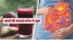 Detoxing Intestine: आंतों की गंदगी साफ करने में मददगार हैं ये जूस, गुड बैक्टीरिया बढ़ाने और कोलन हेल्थ के लिए बेस्ट
