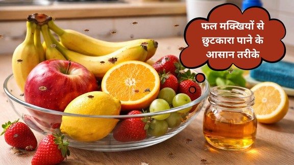 fal makkhi ko kaise bhagaye | How to get rid of fruit flies