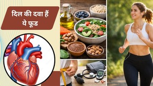 Good cholesterol kaise badhaye, HDL cholesterol increase tips, Good cholesterol increase foods, HDL cholesterol kaise badhaye naturally, Heart healthy lifestyle tips
