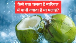 ज्यादा पानी वाला नारियल चुनने का सबसे आसान और सही तरीका, Coconut खरीदते समय याद रखें ये बातें