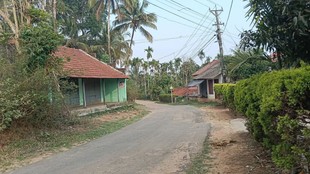 Kerala human-animal conflict, Wayanad elephant attacks farmers,