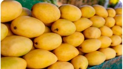 आम खरीदते समय रहें सावधान! ऐसे पहचानें केमिकल से पका आम, जानें FSSAI के नियम