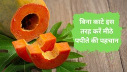 पपीता खरीदते समय न करें ये गलती, बिना काटे ऐसे पहचानें मीठा और पका फल