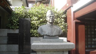 Netaji Subhas Chandra Bose, Supreme Court, Ashis Ray,