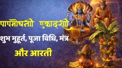 Papmochni Ekadashi 2026: 14 या 15 मार्च, किस दिन रखा जाएगा पापमोचनी एकादशी व्रत, जानें सही तिथि, शुभ मुहूर्त, पूजा विधि और पारण का समय