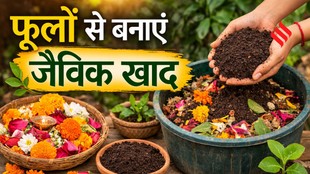 puja flowers compost, how to make compost from temple flowers