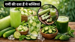 गर्मी में क्यों खाना चाहिए लौकी, खीरा और करेला? डॉक्टर से जानिए