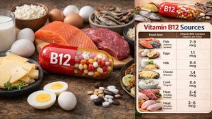 Vitamin B12 normal range chart,Vitamins for nerve health, Vitamin B12, What should be the level of Vitamin B12 in body,
