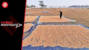 west bengal elections | mamata banerjee | university |