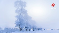 धरती की वो जगहें जो है बहुत खूबसूरत, लेकिन यहां कदम रखना भी है जोखिम भरा, इंसानों की एंट्री पर लगा है बैन
