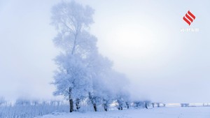 धरती की वो जगहें जो है बहुत खूबसूरत, लेकिन यहां कदम रखना भी है जोखिम भरा, इंसानों की एंट्री पर लगा है बैन