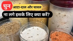 आटा-दाल और चावल में घुन लगने से रोकने के करें ये छोटा सा काम, लंबे समय तक सुरक्षित रखने में मिलेगी मदद